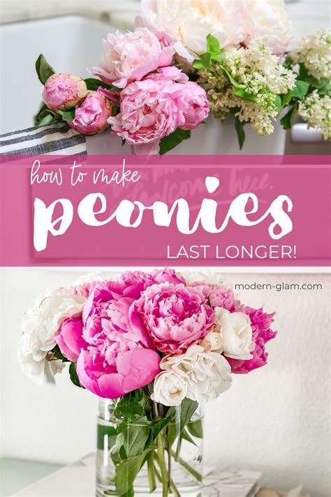 Buy Peonies Peonies And Hydrangeas Paper Peonies Peonies Bouquet