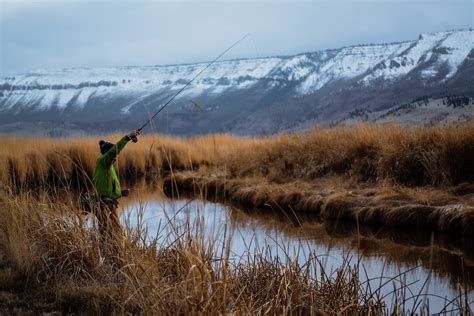 A Quick Guide to Winter Fishing: Tips and Tricks | The Baking Bird