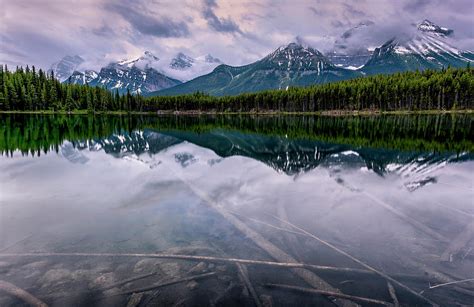 Herbert Lake Banff National Park Alberta Canada Photograph By Yves