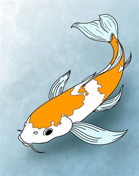 √ Koi Fisch Drawing Fischlexikon