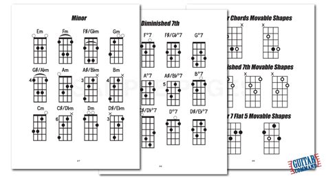 Bass Guitar Scales Chords And Arpeggios Pdf Download Book