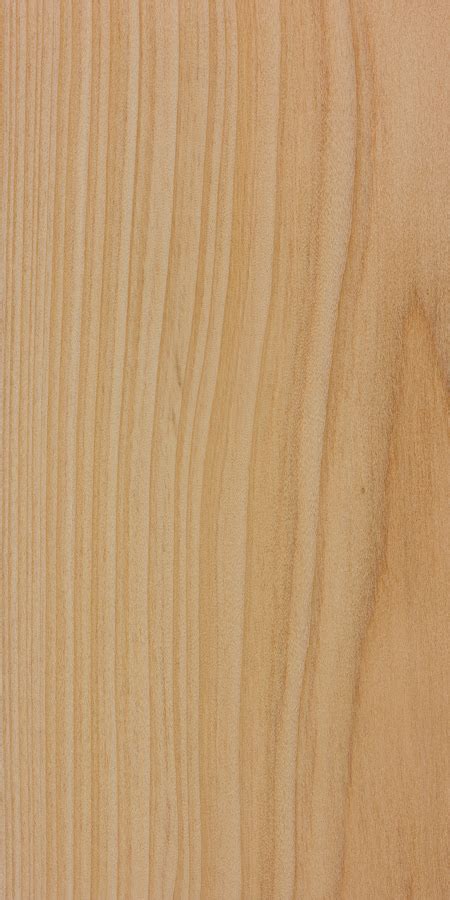 Cypress Wood Texture