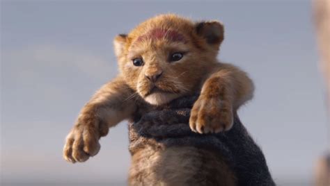 las espectaculares nuevas imágenes de simba timón pumba y mufasa en el remake de ‘el rey león