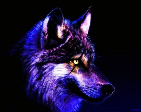 🔥 Free Download Cool Wallpapers Wolf Cool Wolf Hd Wallpaper 886x708