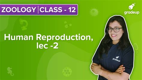 Human Reproduction Lecture 2 Youtube