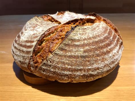 Most recipes for barley bread will include barley flour, water, salt, baking powder, and oil. Barley - Rye Bread | The Fresh Loaf