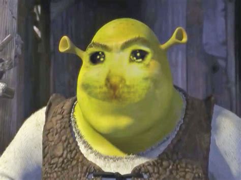 Shrek Meme Template Memes Shrek Jokes Meme Faces Funny Faces Reaction