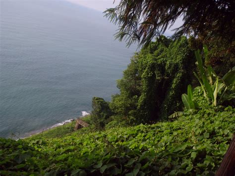 Batumi is the second largest city of georgia and the capital of the autonomous republic of adjara, located on the coast of the black sea in. Georgien, Batumi Foto & Bild | landschaft, garten ...