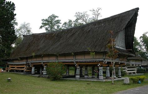 Selama suku batak tinggal di pesisir danau toba, mereka membentuk suatu daerah perkampungan yang cukup unik, dimana mereka memiliki 2 rumah, yaitu rumah jantan dan rumah betina. 35 Rumah Adat di Indonesia + Gambar dan Pembahasan ...