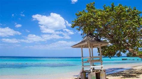 Las 15 Playas Más Bonitas De Jamaica Costa Cruceros
