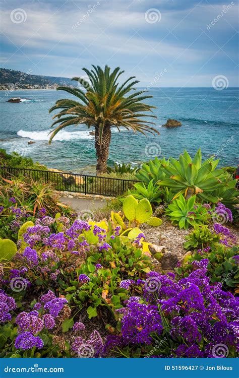 Garden And View Of The Pacific Ocean At Heisler Park Stock Image