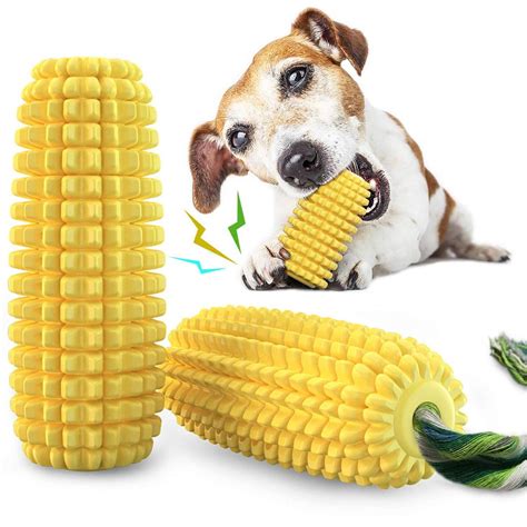 24 Indestructible Dog Toys 2023 — Best Dog Chew Toys