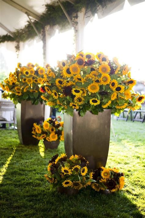 Sunflower Reception Wedding Flowers Wedding Decor