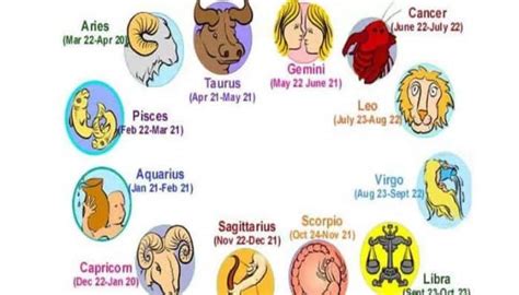 12 Urutan Zodiak Sesuai Tanggal Lahir Dan Cara Tentukan Zodiak
