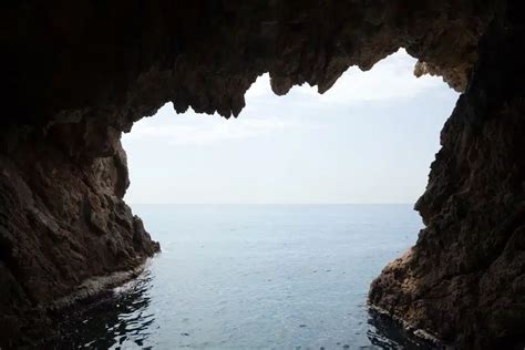 Visita Las Cuevas Marinas De La Provincia De Alicante Top