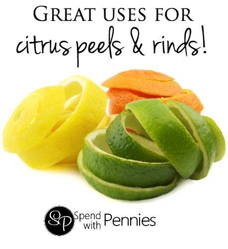 20 Creative Uses For Citrus Peel Artofit