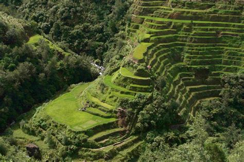 World Beautifull Places The Rice Terrace Fields Of Banaue Philippines