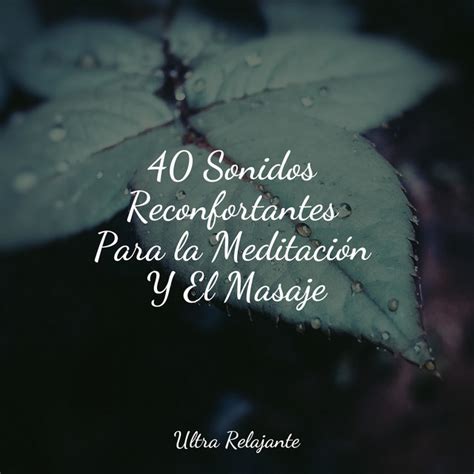 Sonidos Reconfortantes Para La Meditaci N Y El Masaje Album By