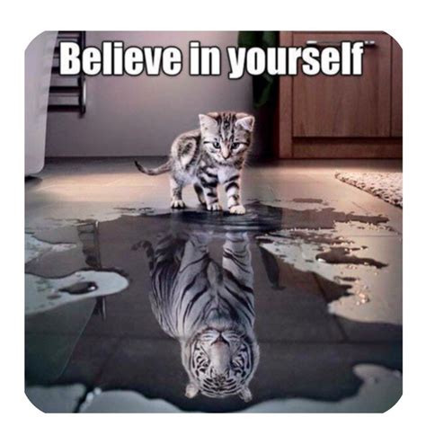 Coaster Cup Lesson Look Believe Yourself Reflect Puddle Cat Kitten
