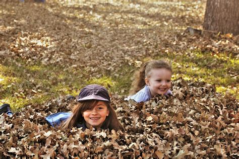 Two Little Girls Playing In Leaves Free Stock Photo Public Domain