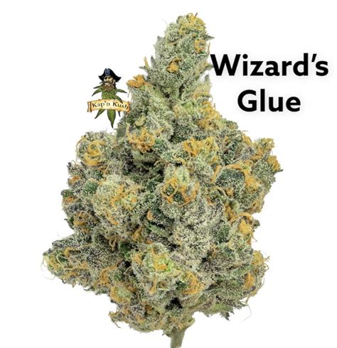 Wizard S Glue Kapn Kush Same Day Weed Delivery