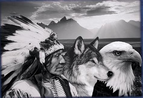Native American Animals Native American Artwork American Indian Art