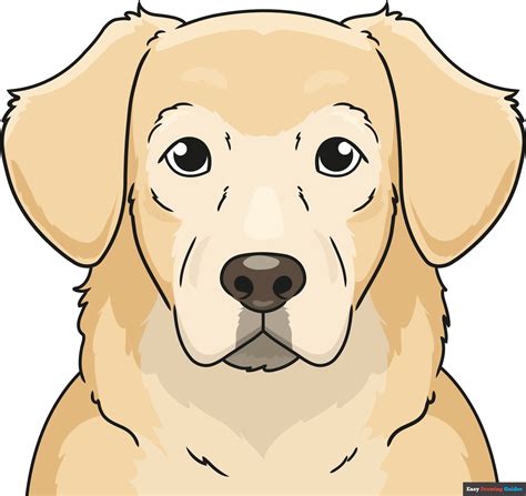 How To Draw A Golden Retriever Face Really Easy Drawing Tutorial