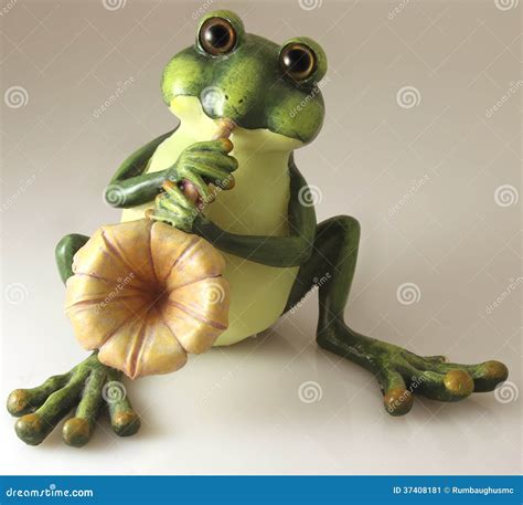 Frog Musician Stock Image Image Of Cartoon Musician 37408181