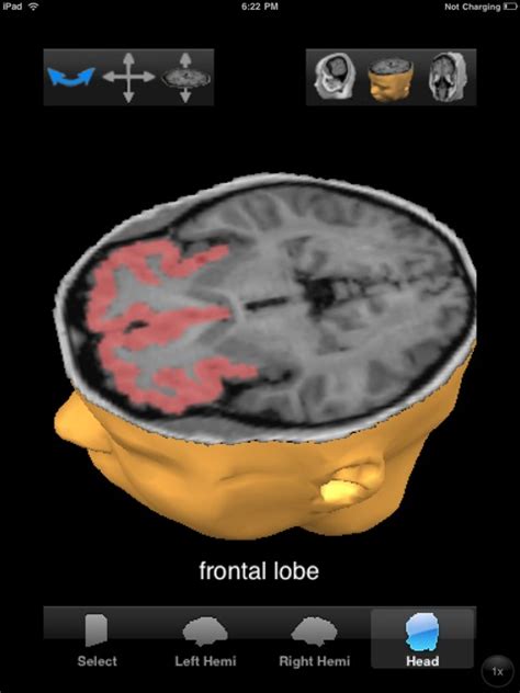 Brain Posts Brain Tutor Hd Ipad App Review