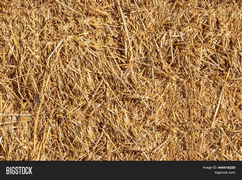 Bale Dry Straw Natural Image And Photo Free Trial Bigstock