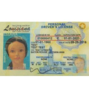 Louisiana Driver's License, Novelty | Drivers license, Louisiana, Driver license online