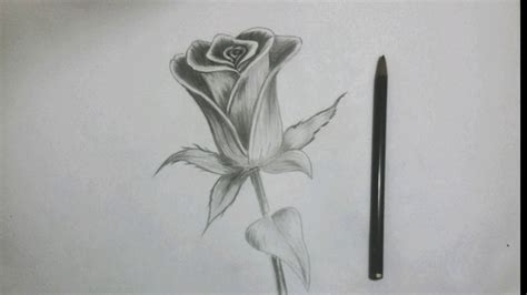 Lukisan Bunga Dengan Pensil 2021 Sketsa Gambar Bunga Indah Unik