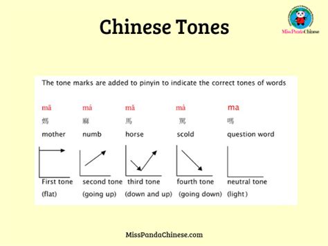 Basic Chinese Tones Four Tones Practice With The Tone Cards