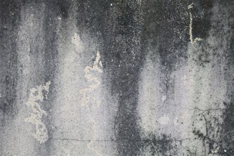 Grunge Wall Textures Textured Walls Texture Abstract