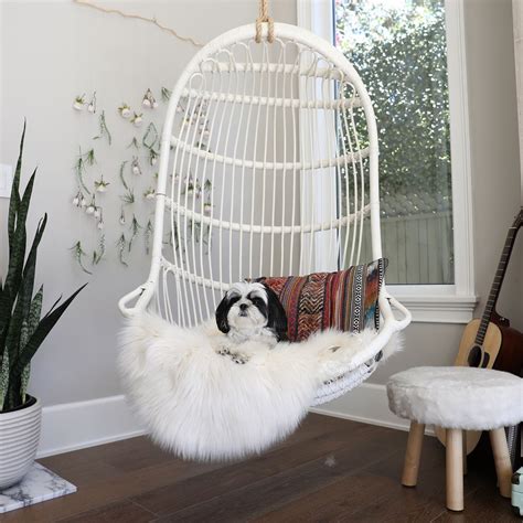 The most common dog chair material is cotton. lounging #puppy #malshi #dog #hangingchair # ...
