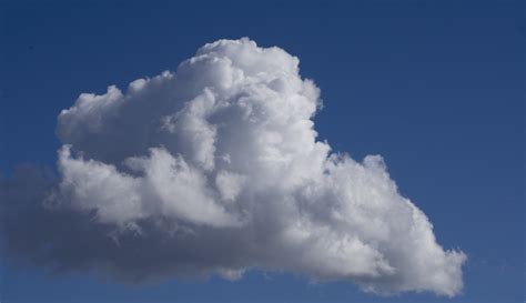 Cumulus Cloud Free Stock Photo Public Domain Pictures