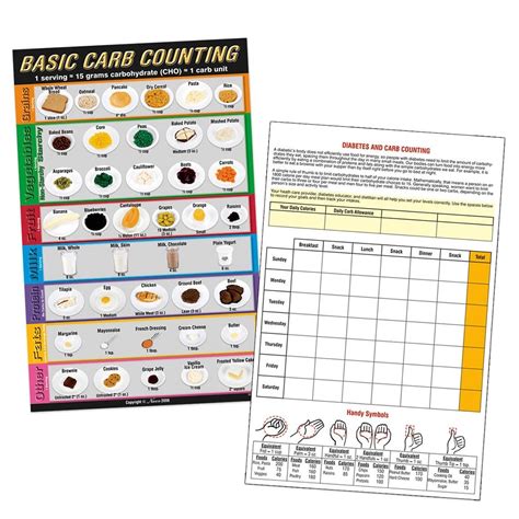 Nasco Lifeform Carb Counting Food Replica Kit And Tearpad