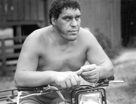 Discover information about andre the giant and view their match history at the internet wrestling database. 'André the Giant' Nonfiction Graphic Novel Getting the ...