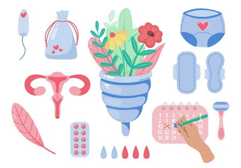 Jakie są wady i zalety kubeczków, jak je stosować i ile kosztują? Duży Zestaw Do Menstruacji, Kobiecy Zestaw Do Higieny ...