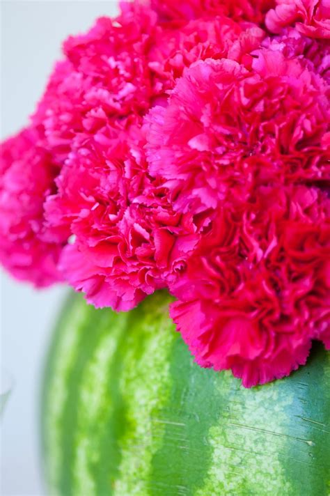 The aromatic flowers can be burned in the incense burner in blackthorn grove in ardenweald in order to summon a desiccated moth. DIY Watermelon Flower Centerpiece - The Sweetest Occasion ...