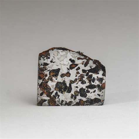 Meteorites Tektites For Sale Ebay Artofit