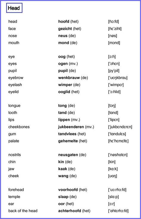 Woordenschat Het Hoofd Woorden Lezen Letterklanken Spellingsregels