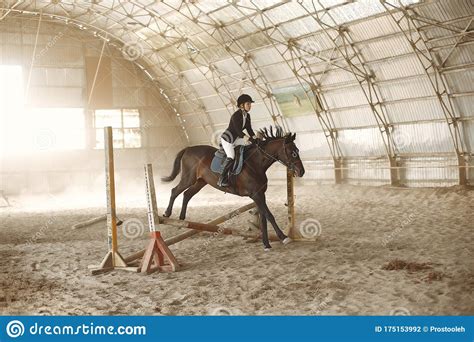 The Rider In Black Form Trains With The Horse Stock Photo Image Of