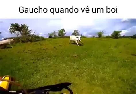 Gaucho Quando Vê Um Boi Ifunny Brazil