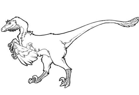 Disegno Di Velociraptor Da Colorare Disegni Da Colorare E Stampare Gratis