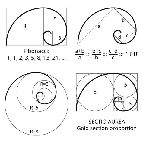 Golden Spiral Symbol