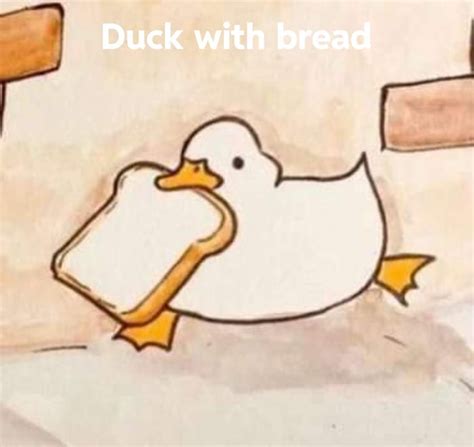 Duck With Bread 9gag