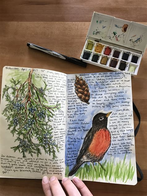 Nature Journaling For Mom Why Its Awesome And How To Get Started