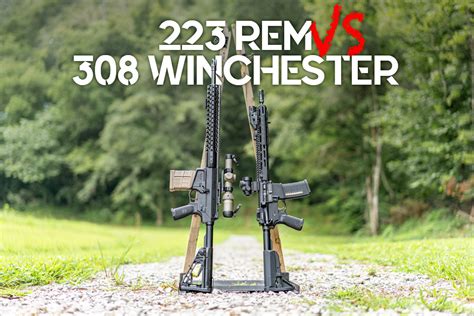 223 Vs 308 Winchester Wideners Shooting Hunting And Gun Blog