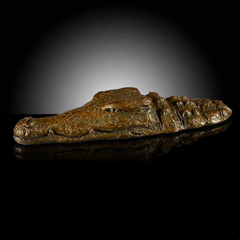 19x4 & 5.5x3 shows slight dust. Crocodile Head Submerged | Donald Greig Gallery
